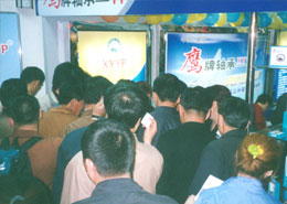 鷹牌軸承(cheng)鄭州參展(zhan)